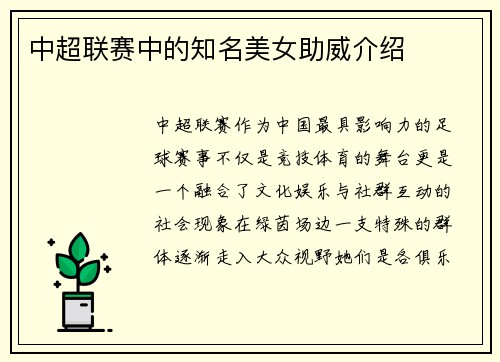 中超联赛中的知名美女助威介绍
